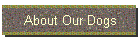 About Our Dogs